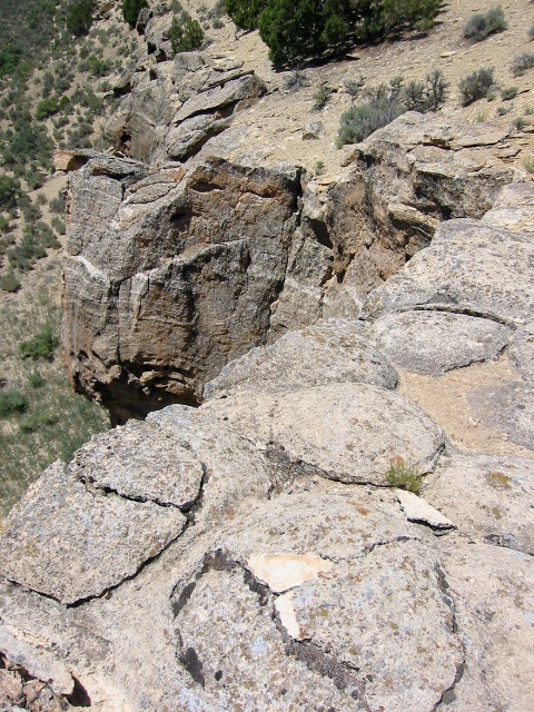 Green River Stromatolites
