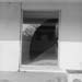 Site 19(LAX4004F03)