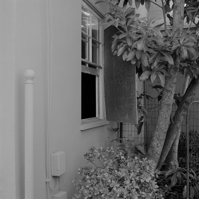 SITE 36(LAX6020F01)