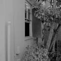 SITE 36(LAX6020F01)