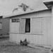Site 50(LAX1042A)