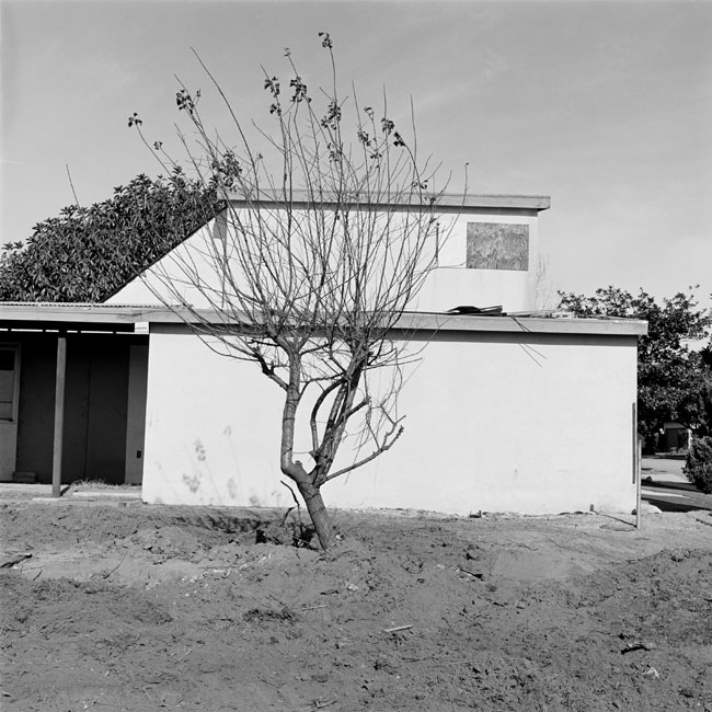 LAX1007F04