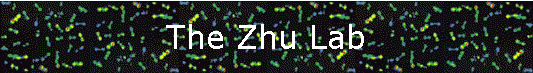 The Zhu Lab