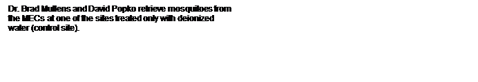 Text Box: Dr. Brad Mullens and David Popko retrieve mosquitoes from the MECs at one of the sites treated only with deionized water (control site).