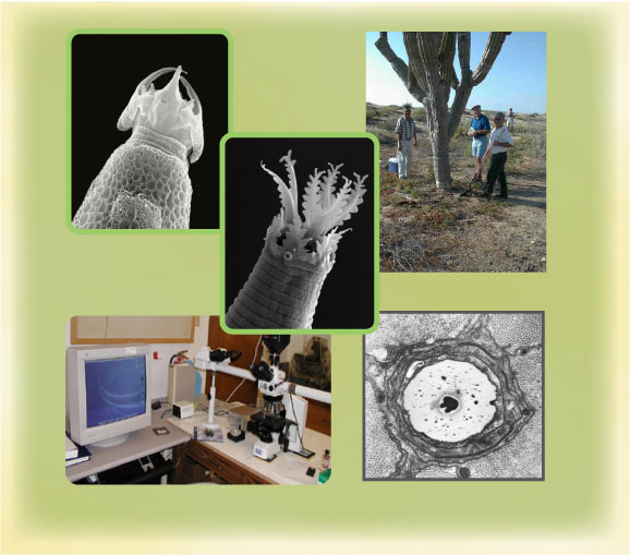 Department Of Nematology James Baldwin Lab