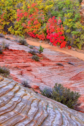 photographs by Mark Chappell