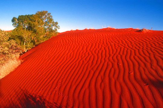 The Red Sand