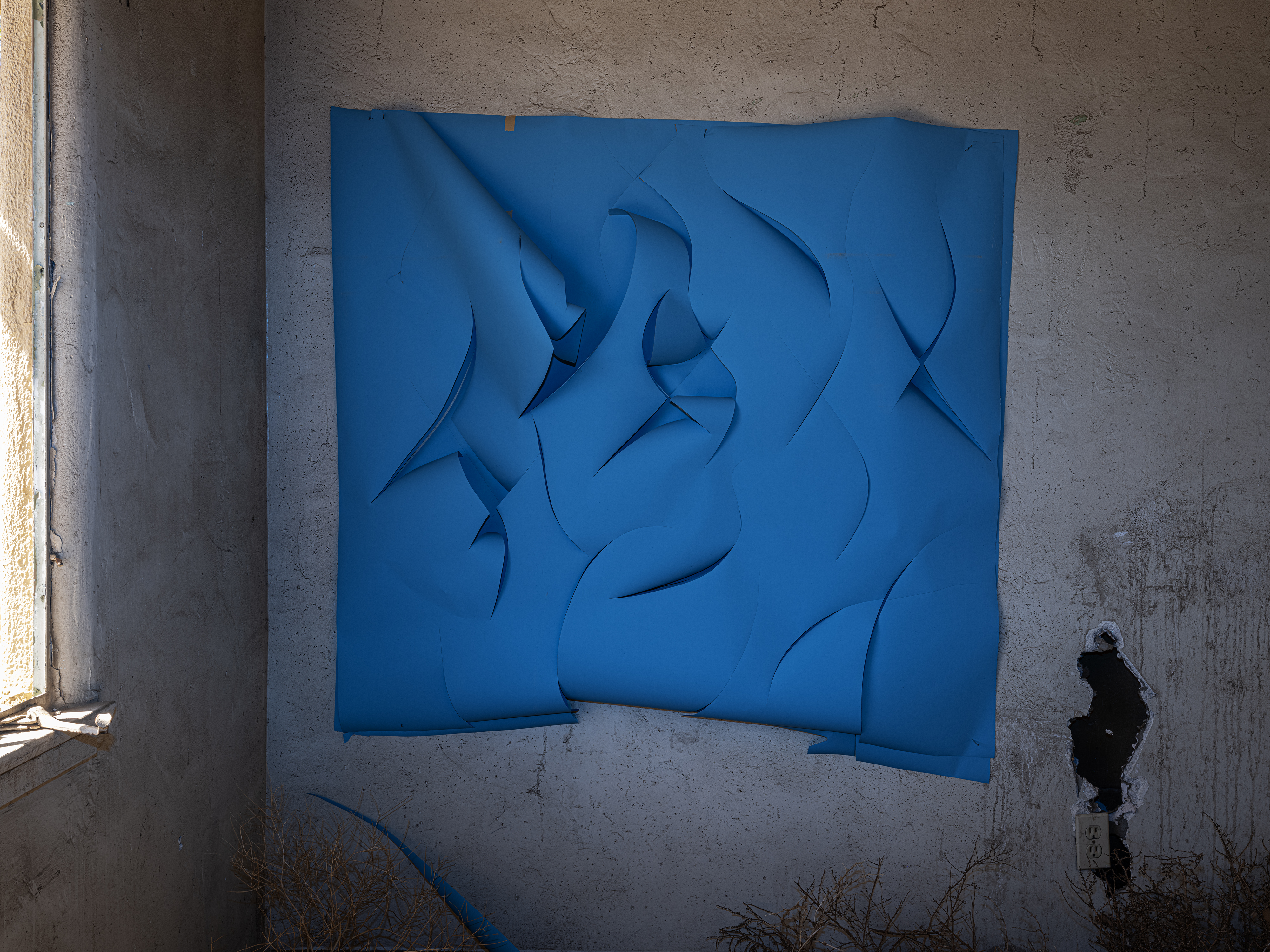 DSCF3961
