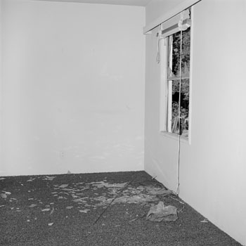 Site 9(LAX1034C)