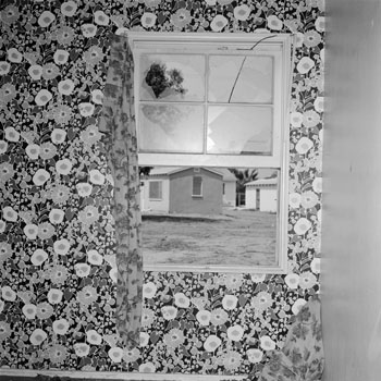 Site 13(LAX2054F01)