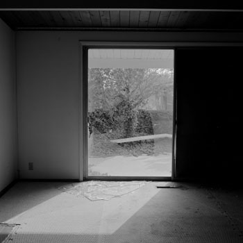 Site 19(LAX4006F11)
