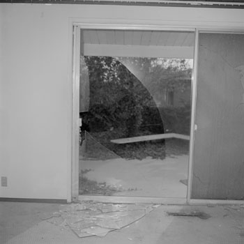 Site 19(LAX4006F12)