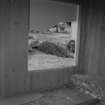 Site 34(LAX1004F08)