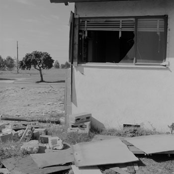 Site 49(LAX6004F)