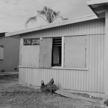 Site 50(LAX1042A)