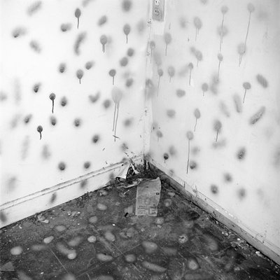 74V47, 1974 copy.jpg