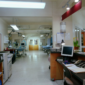 L-X14F11