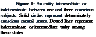 Text Box: Figure 2: An entity intermediate or indeterminate between one and three conscious subjects. Solid circles represent determinately conscious mental states. Dotted lines represent indeterminate or intermediate unity among those states.