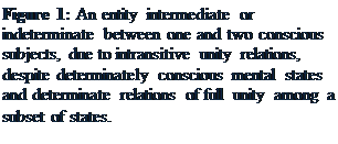 Text Box: Figure 3: An entity intermediate or indeterminate between one and two conscious subjects, due to intransitive unity relations, despite determinately conscious mental states and determinate relations of full unity among a subset of states.