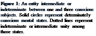 Text Box: Figure 2: An entity intermediate or indeterminate between one and three conscious subjects. Solid circles represent determinately conscious mental states. Dotted lines represent indeterminate or intermediate unity among those states.