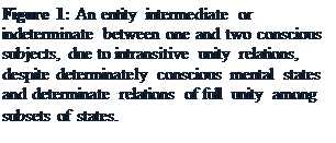 Text Box: Figure 3: An entity intermediate or indeterminate between one and two conscious subjects, due to intransitive unity relations, despite determinately conscious mental states and determinate relations of full unity among subsets of states.