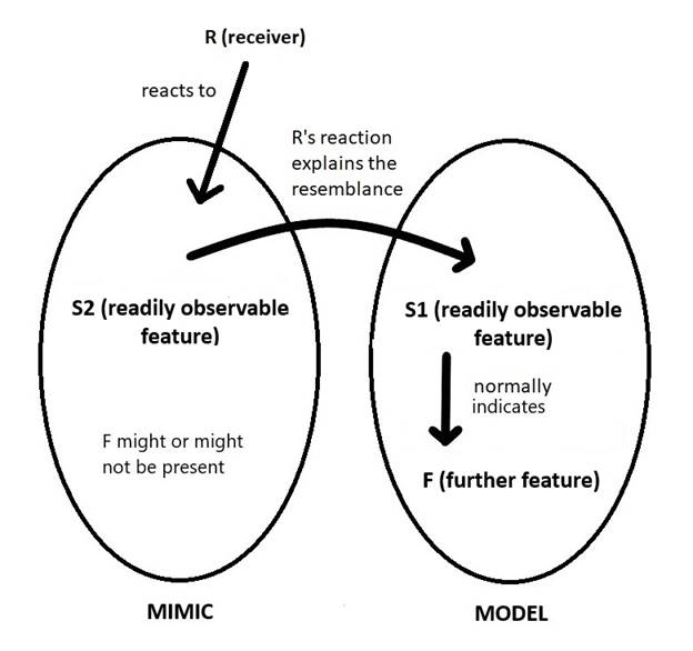 A diagram of a model

Description automatically generated