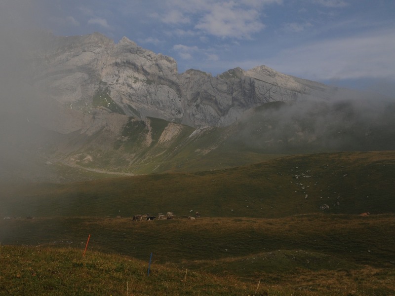 Stacks Image 520