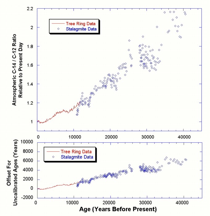 Morphometric affinities and direct radiocarbon dating of the Toca