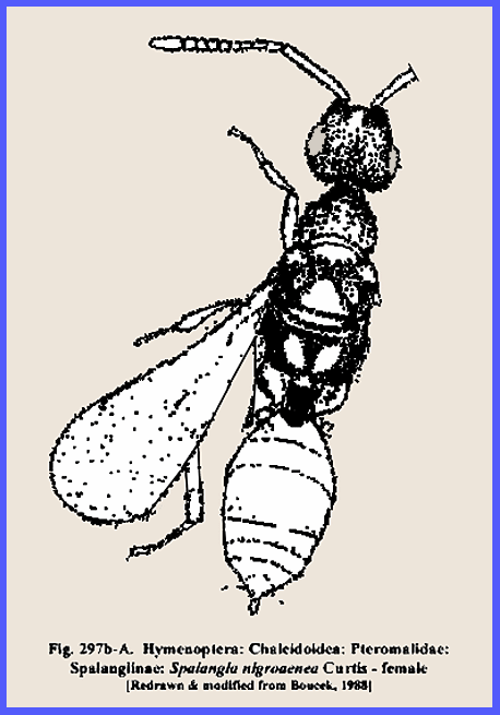 File: