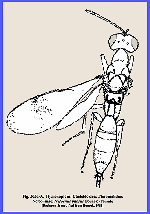 File:
