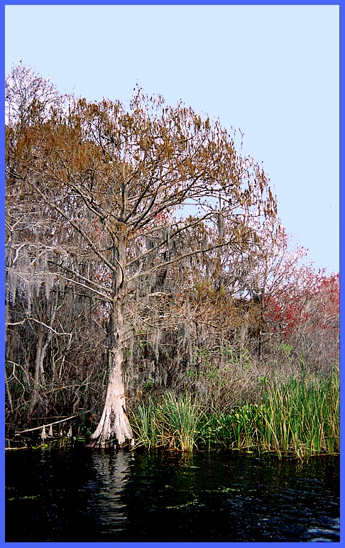CLICK to enlarge