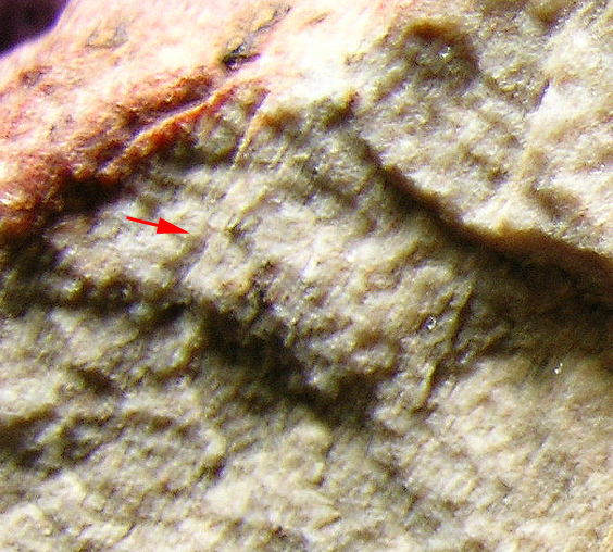CLICK for overview [ Enlarge ]