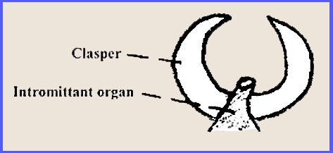 File: