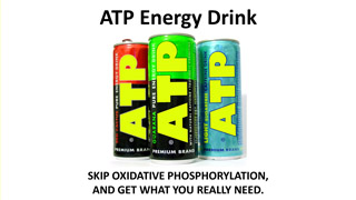 ATP Energy Drink