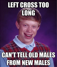 Bad Luck Brian